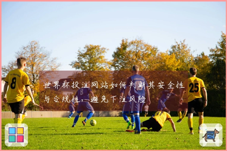 世界杯投注网站如何判断其安全性与合规性，避免下注风险