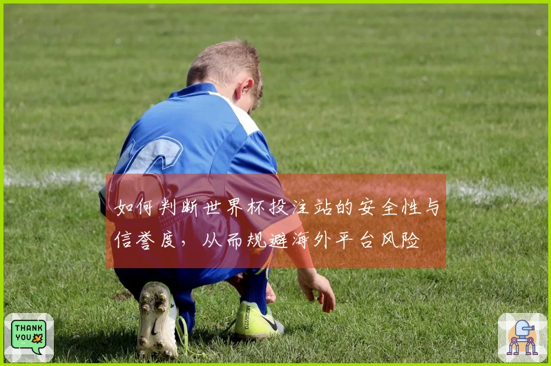 如何判断世界杯投注站的安全性与信誉度，从而规避海外平台风险