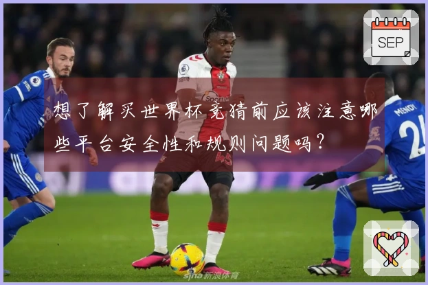 想了解买世界杯竞猜前应该注意哪些平台安全性和规则问题吗？