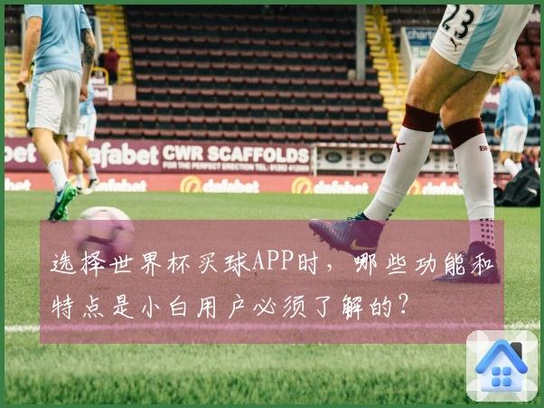 选择世界杯买球APP时，哪些功能和特点是小白用户必须了解的？