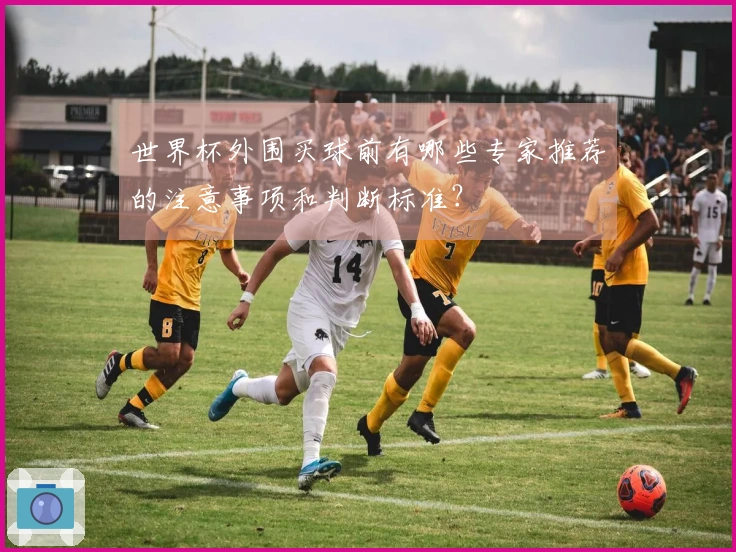 世界杯外围买球前有哪些专家推荐的注意事项和判断标准？