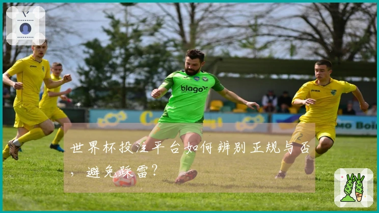 世界杯投注平台如何辨别正规与否，避免踩雷？